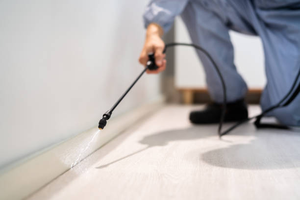 Licensed Mosquito Control service in Five Corners, WA - Show Me Pest Control