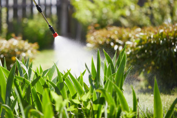 24/7 Emergency Mosquito Control experts in Five Corners, WA