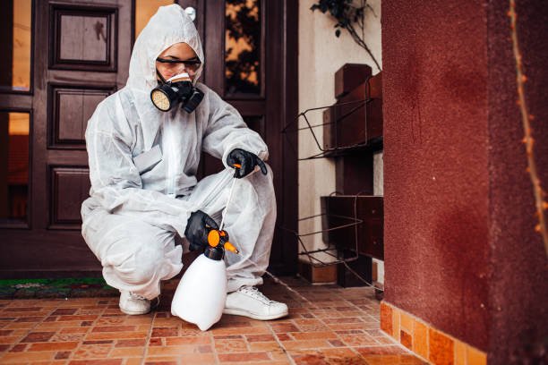 Reliable Mosquito Control contractor in Five Corners, WA by Show Me Pest Control