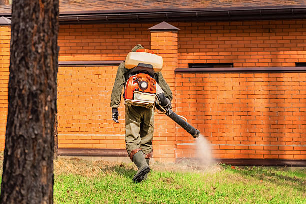 Top rated local Mosquito Control specialists in Five Corners, WA